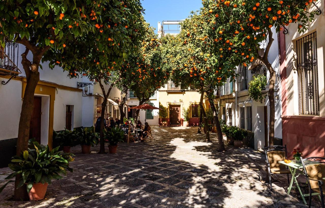 Wish Suite La Mata De Sevilla Zewnętrze zdjęcie